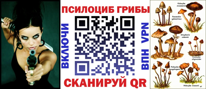 Псилоцибиновые грибы прущие грибы  продажа наркотиков  Нурлат 
